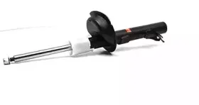 BSG 30-300-021 BSG Амортизатор